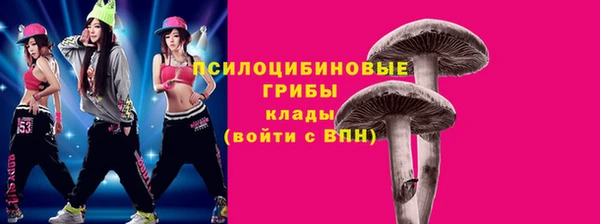 тгк Абаза