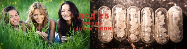 прущий лед Алзамай