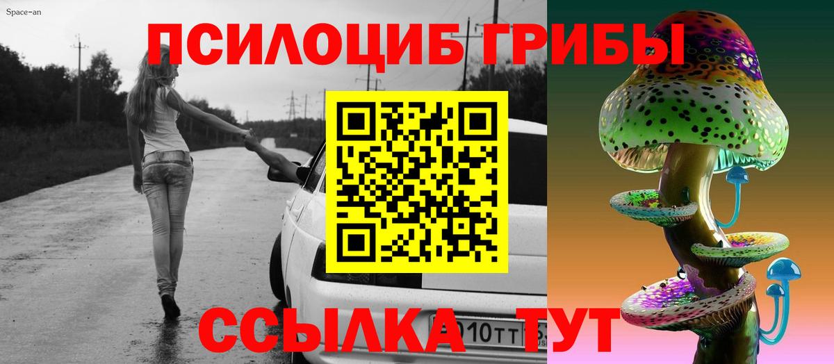 Псилоцибиновые грибы Magic Shrooms Сочи